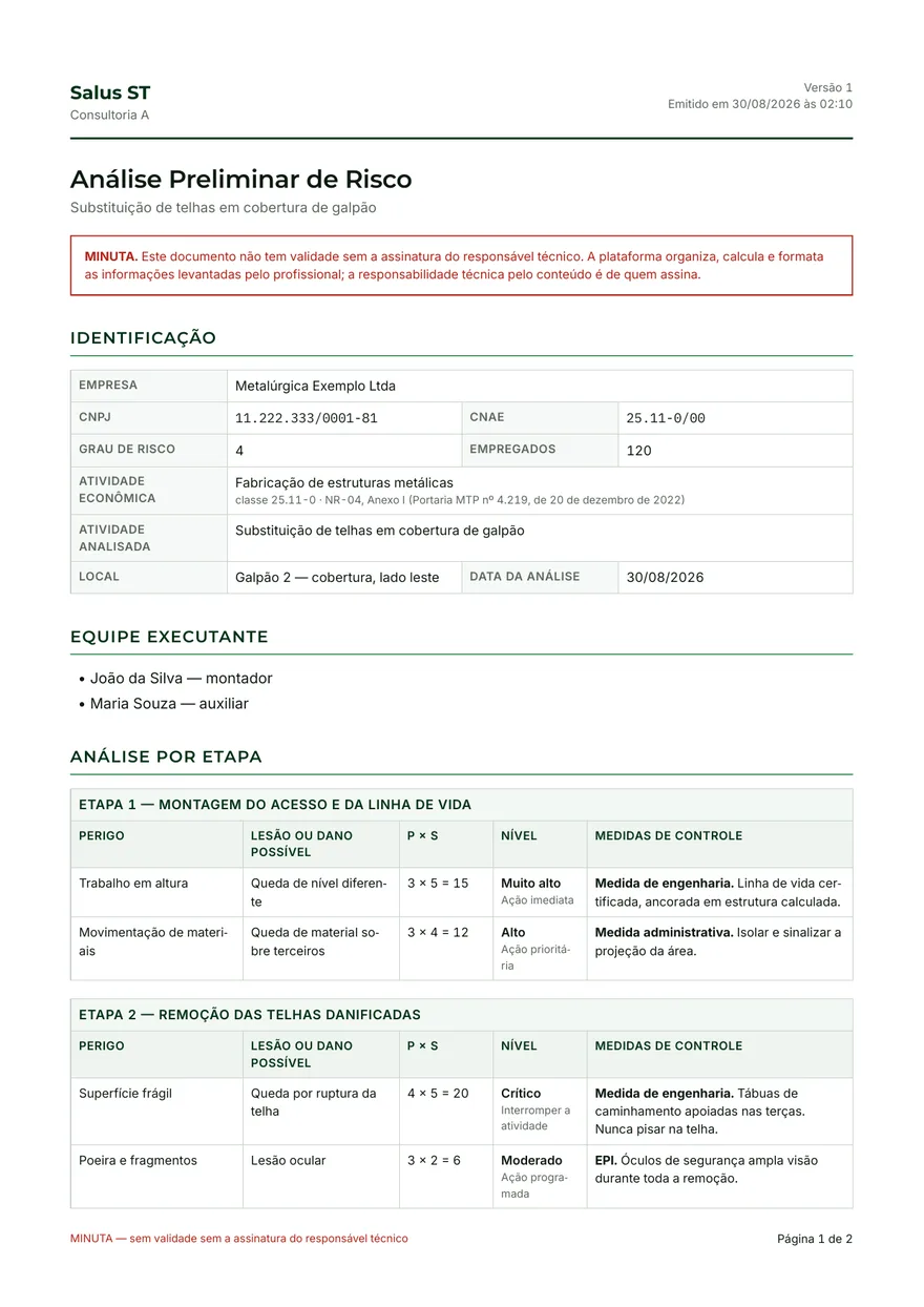 Primeira página de uma Análise Preliminar de Risco emitida pela plataforma, com dados fictícios
