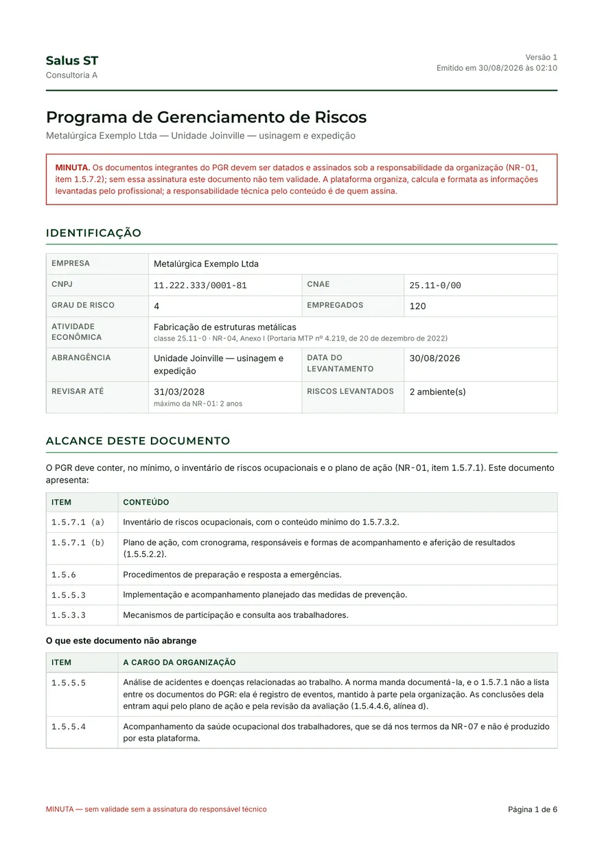 Primeira página de um Programa de Gerenciamento de Riscos emitido pela plataforma, com dados fictícios